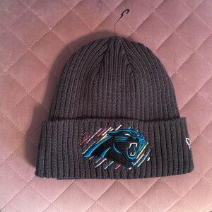 Carolina Panthers crucial catch beanie